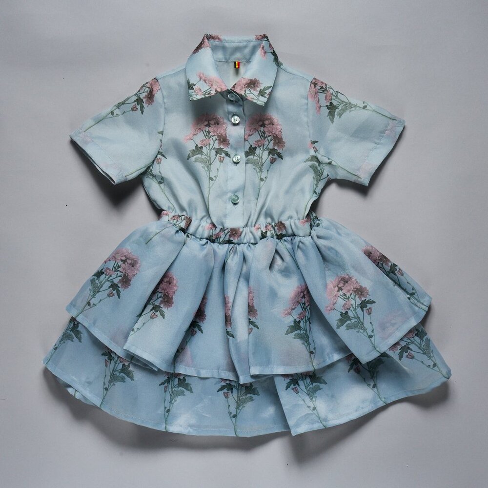 CAROLINE BOSMANS BLUE FLORAL PRINT DRESS